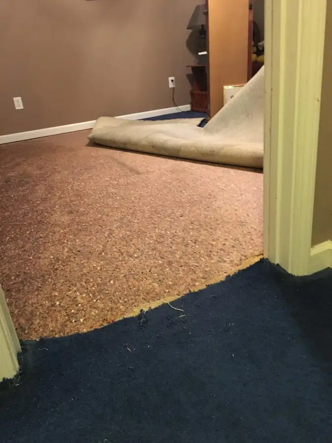 Carpet pad removal revealing water damage during Drying & Dehumidification in Oakville