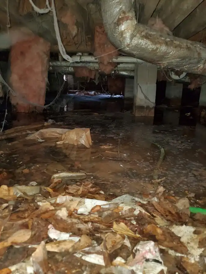 Crawl space flood assessment for Leak Detection & Repair in Oakville