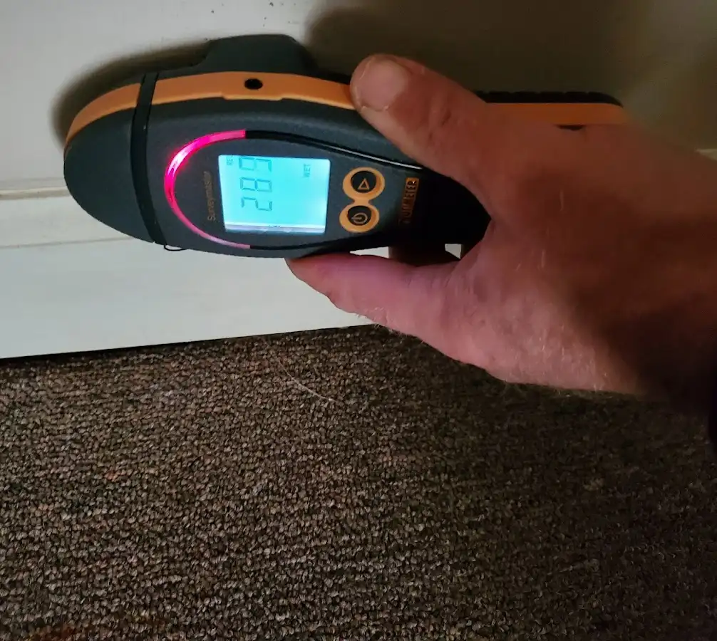 Moisture detection at baseboard during Burst Pipe Cleanup in Oakville